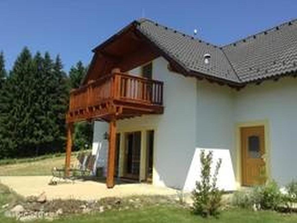 Villa Gamma - Lipno Home Lipno nad Vltavou Dış mekan fotoğraf